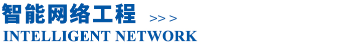 智能網(wǎng)絡(luò)